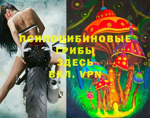СК Вязьма