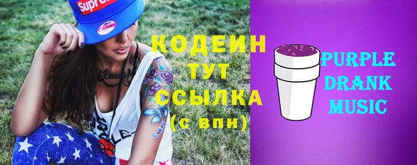СК Вязьма