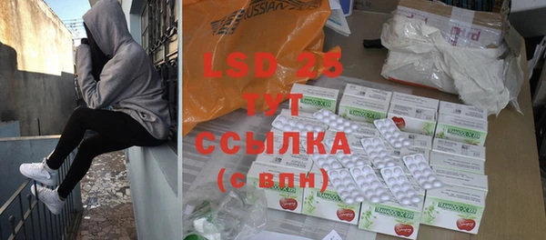 СК Вязьма