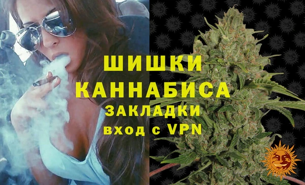 СК Вязьма
