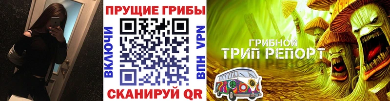 Купить где  Свободный  Псилоцибиновые грибы GOLDEN TEACHER 