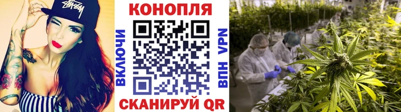 Конопля MAZAR Свободный